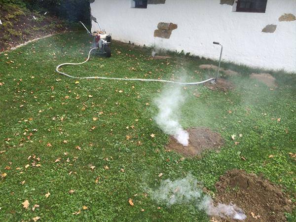 Schädlingsbekämpfung