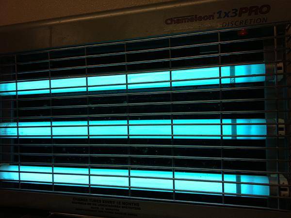 UV-Insktenvernichter