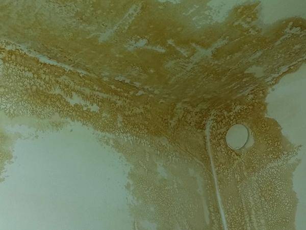 Starker Schimmelbewuchs nach einem Wasserschaden