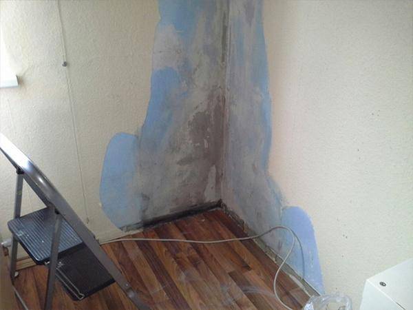 Starker Schimmelbewuchs aufgrund von Wärmebrücken