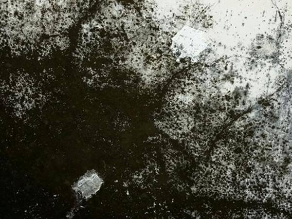 Starker Schimmelbewuchs durch ungünstiges Nutzerverhalten