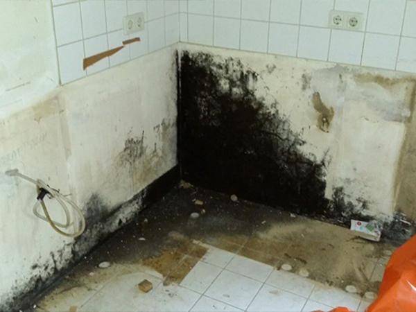 Starker Schimmelbewuchs hinter Einbaumöbel an einer Außenwand