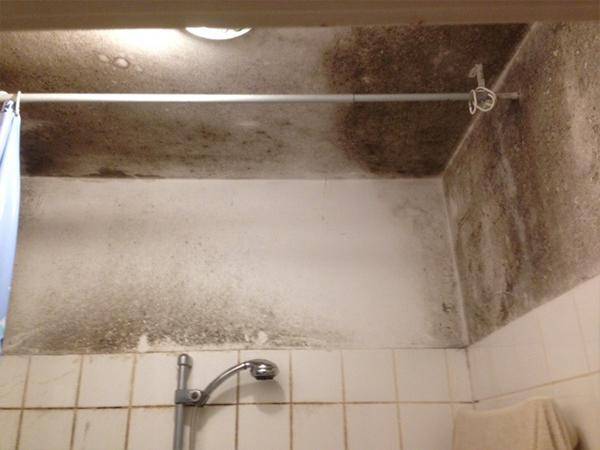 Starker Schimmelbewuchs ausgelöst durch Nutzungsverhalten