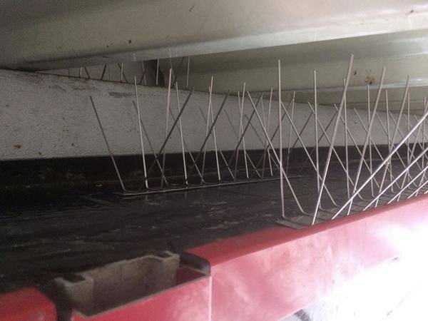 Eselstahl Quattrospikes TA