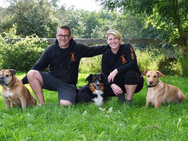 Bettwanzenspürhunde